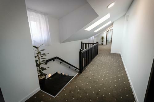 Hotel P?una?ul Codrilor