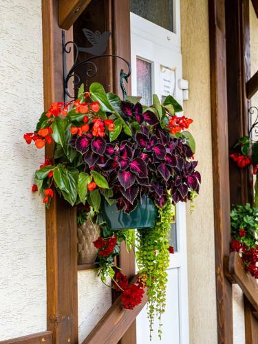 Bed & Breakfast Residence Rooms Bucovina