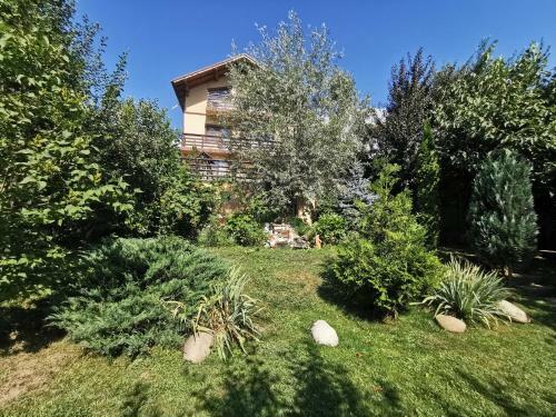 Villa Casa Bunicii