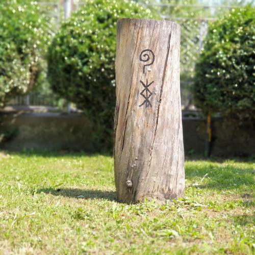 Apartamento La Cuib