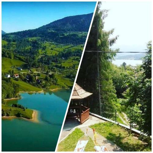 Cabana Barlogul Colibita