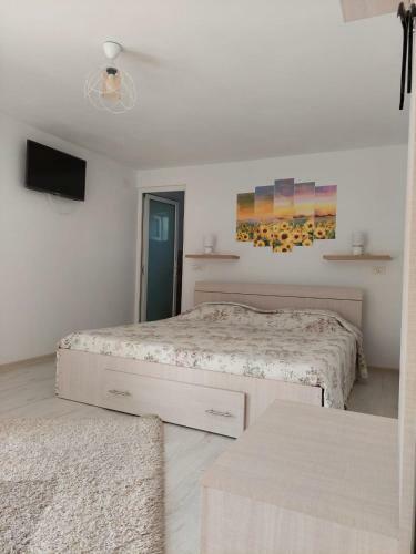 Hostal Pensiunea Antonia