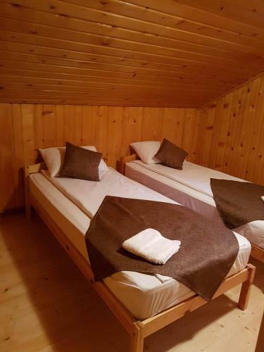 Hostal Cabana Sarmis Costesti