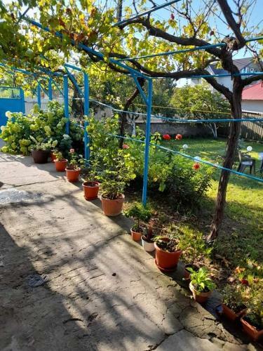 Apartamento Casa Anhela