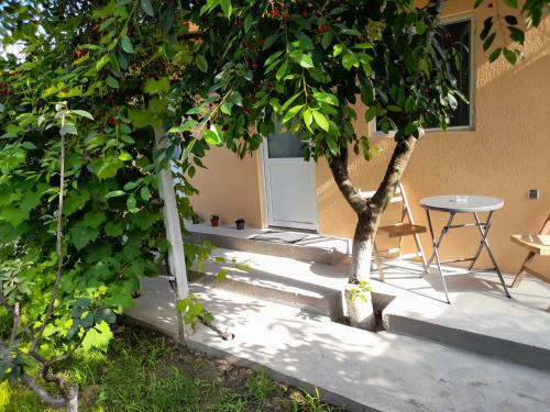 Agroturismo Casa Elena