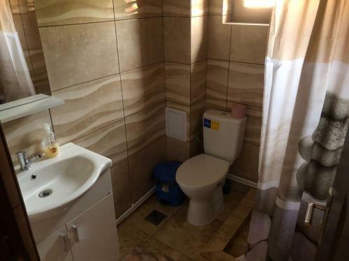 Hostal Pensiunea Cosmin