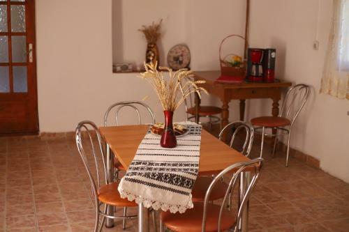 Hostal Casa de Vacanta Family & Friends