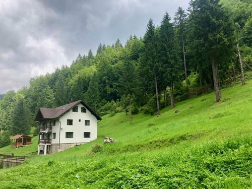 Villa Cabana Caprioara - Piatra Craiului