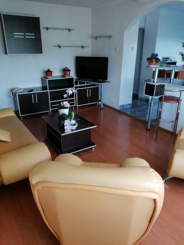 Apartament Spa?ios 3 Camere Curtea de Arge?