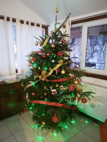 Hostal Vila Margareta