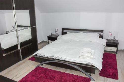 Hostal Tomis House