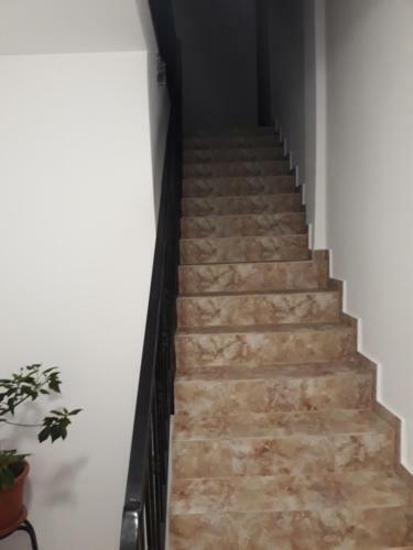 Apartamento Nicolae Romanescu Park