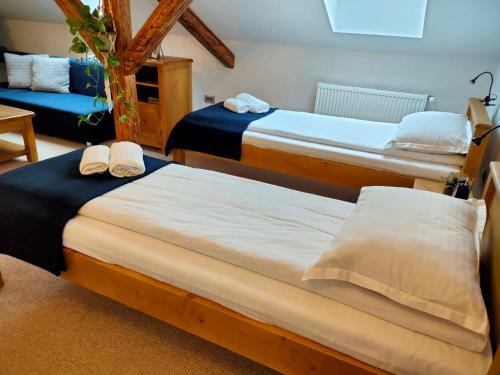 Hostal Casa D�vid Ferenc H�z