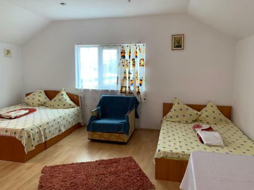 Hostal Vila Catalin-bianca