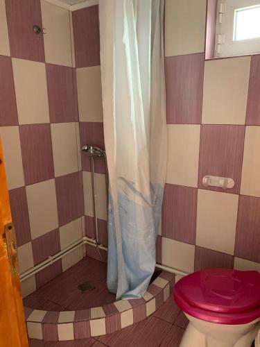 Hostal Vila Catalin-bianca