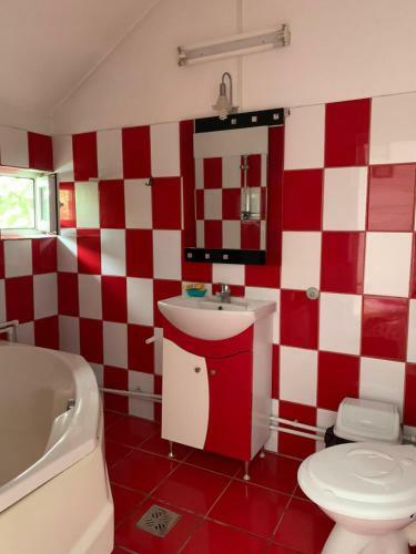 Hostal Vila Catalin-bianca