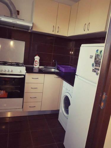 Sushy Apartment