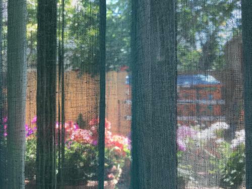 Hostal Black Sea House Apartment Constanta