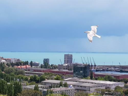 Apartament Harbour View