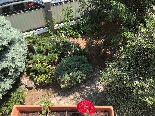 Hostal Pensiunea Pont-euxin