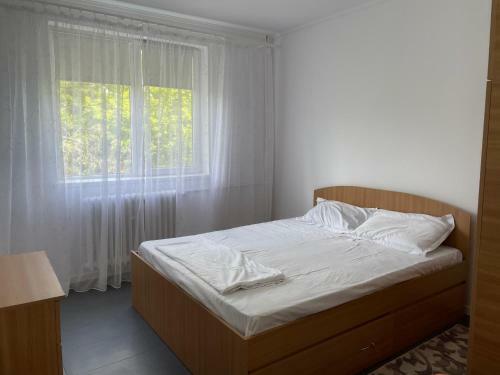 Mamaia Breeze Gray Apartment