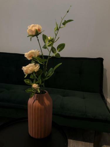 Breezy Apartament