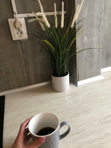Breezy Apartament