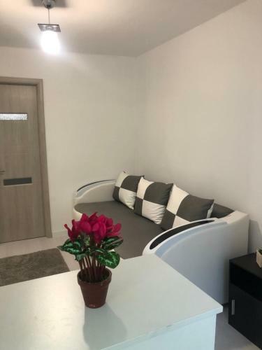 Apartament Mamaia Sat