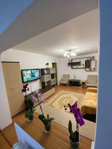 Apartament Andrei, Sat Vacanta