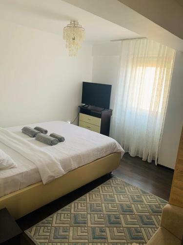 Intregul Apartament - Compozitorilor Constanta