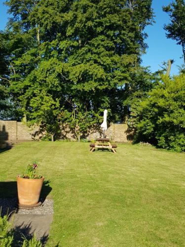Hostal Morris Guest House