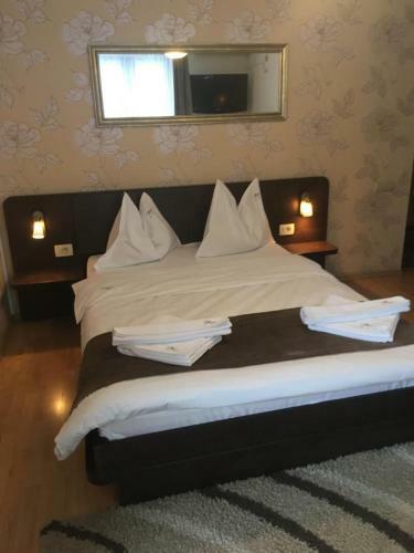 Hostal Pensiunea Max