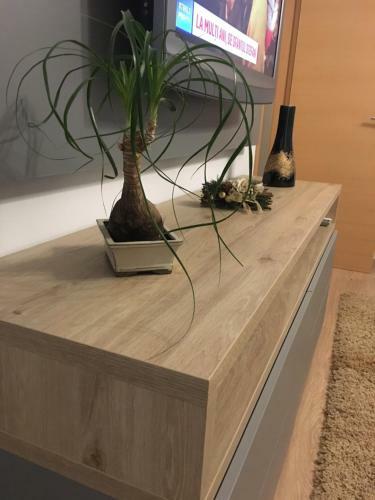 Dora City Apartament