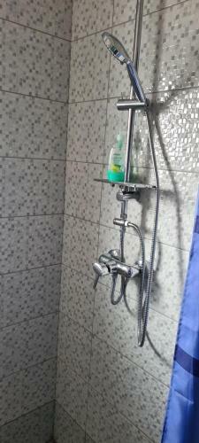 Apartamento Elena Haus