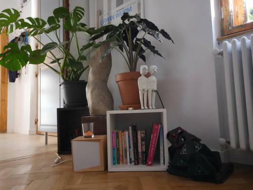 Good Mornings Apartment
