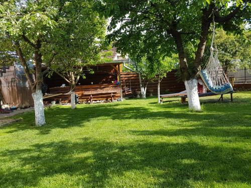 Sport Hostel Cluj