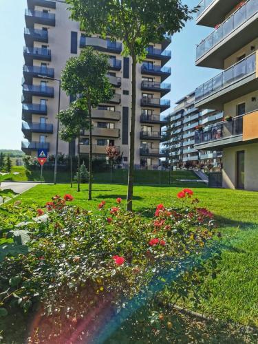 Apartamentul 116