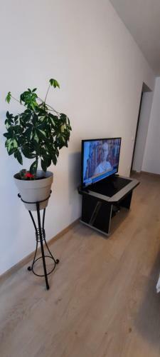 Apartamento Farmec Studio