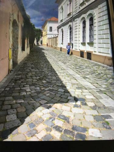 Apartamento Adry Cluj