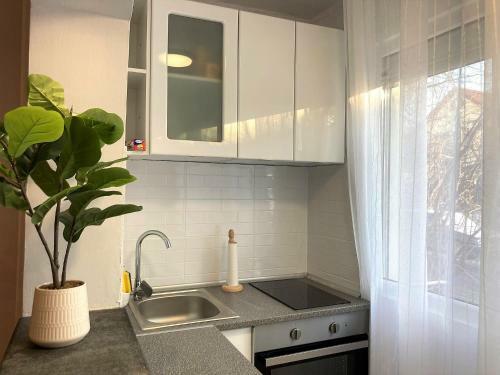 Lovely Apartment In A Quiet Area
