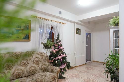 Hostal Ubytovanie Adina Polt�r