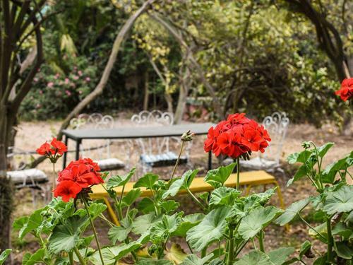 Casa Campo Lindo