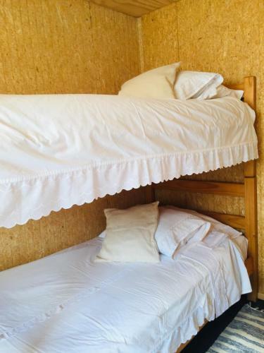 Bed & Breakfast Sol De La Patagonia