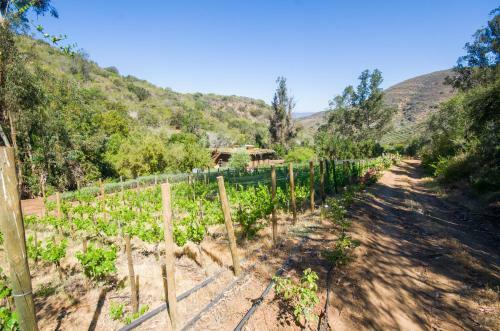 Bed & Breakfast Caba�a Con Tinaja En Vi�a Narbona Wines