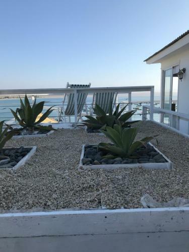Muelle Apart Hotel