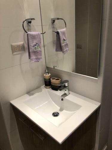 Apartamento Departamento Puc�n Andino