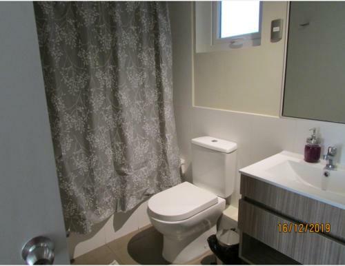Apartamento Departamento Robles Del Volcan Pucon