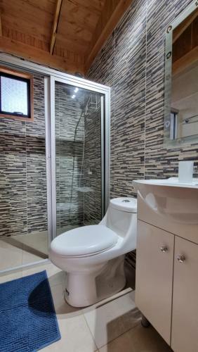 Hostal Blue House Departamento - Caba�a - Casa