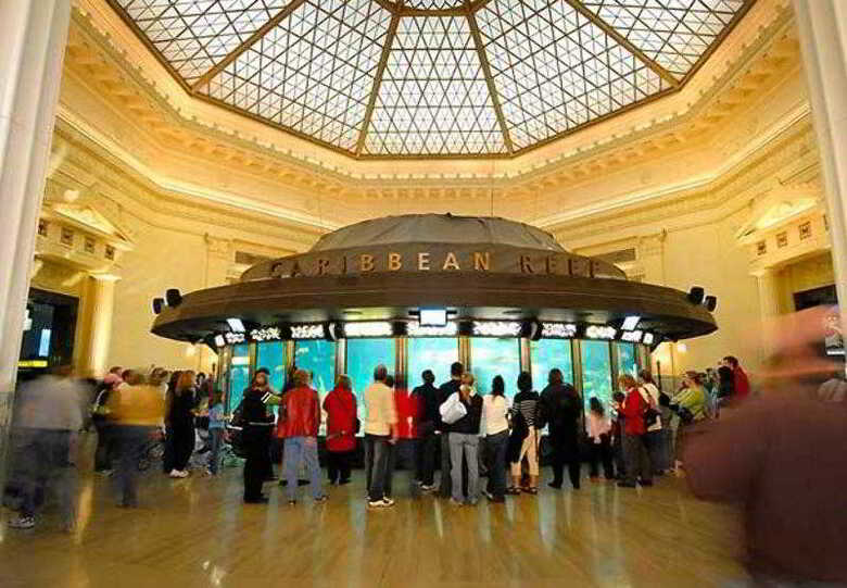 Hotel Fairfield Inn & Suites Chicago Downtown