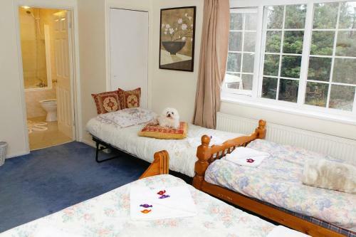 Hostal Da Vinci Guest House - Bed And Breakfast (gatwick)
